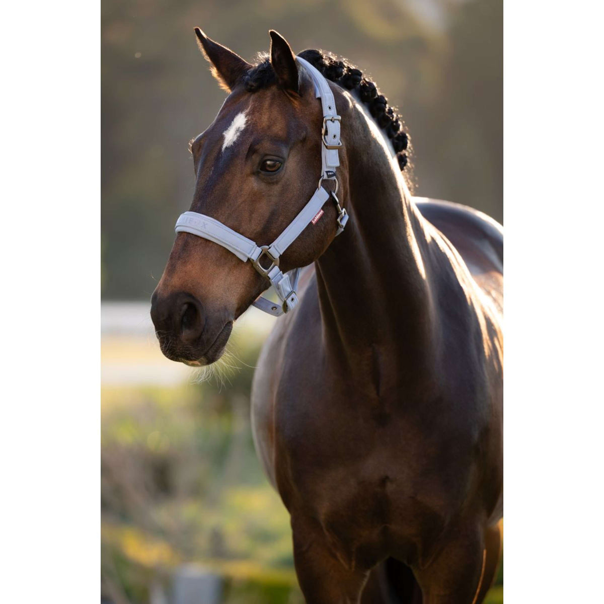 LeMieux Halster Essence Powder Blue