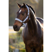 LeMieux Halster Essence Powder Blue