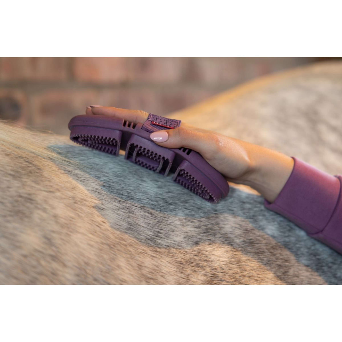 LeMieux Rosborstel Flexi Curry Powder Blue