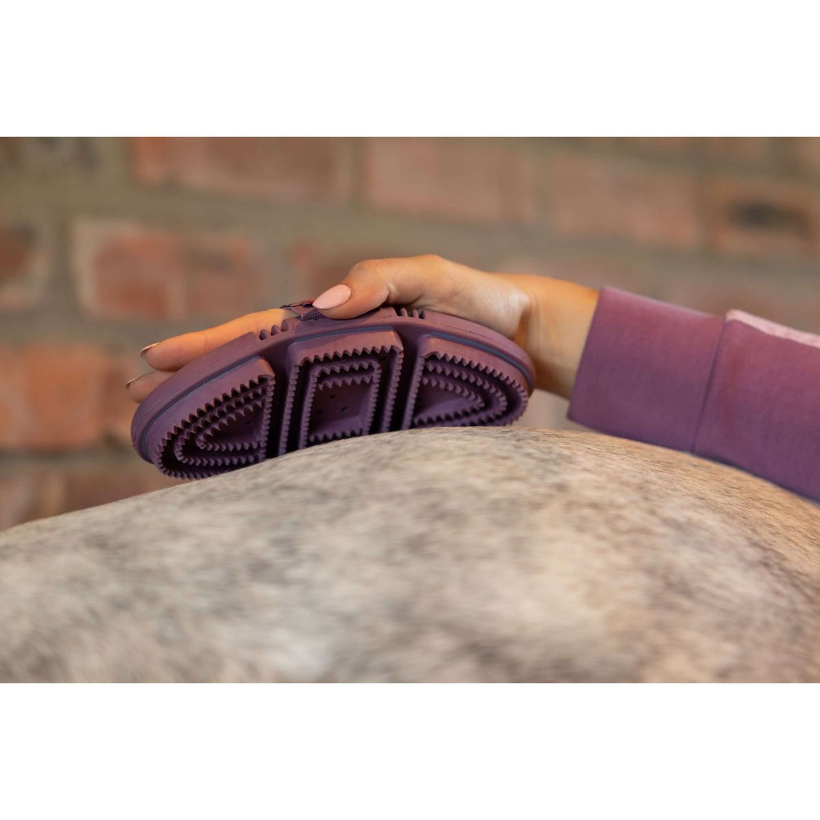 LeMieux Rosborstel Flexi Curry Powder Blue LeMieux Rosborstel Flexi Curry Powder Blue