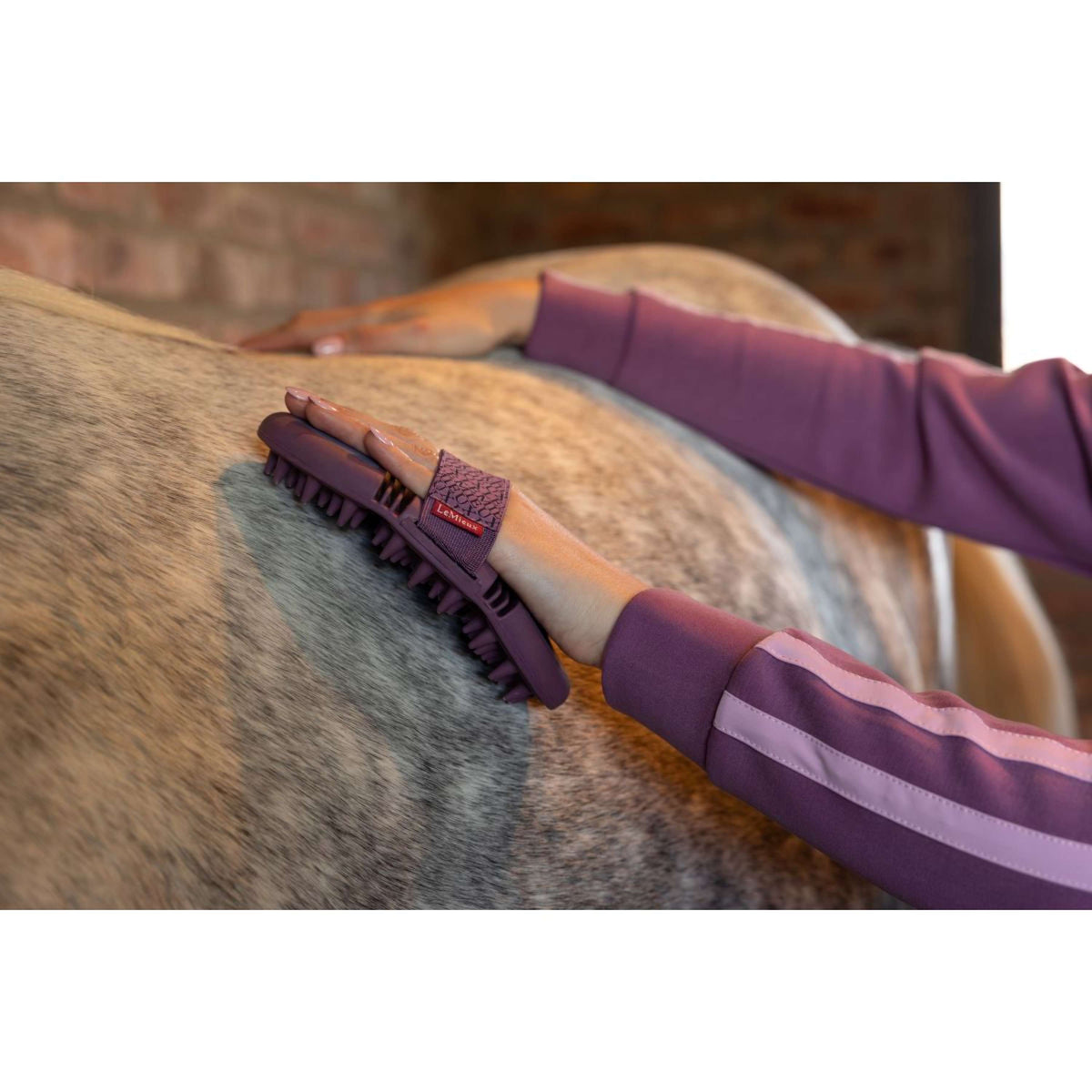 LeMieux Massage Borstel Flexi Powder Blue