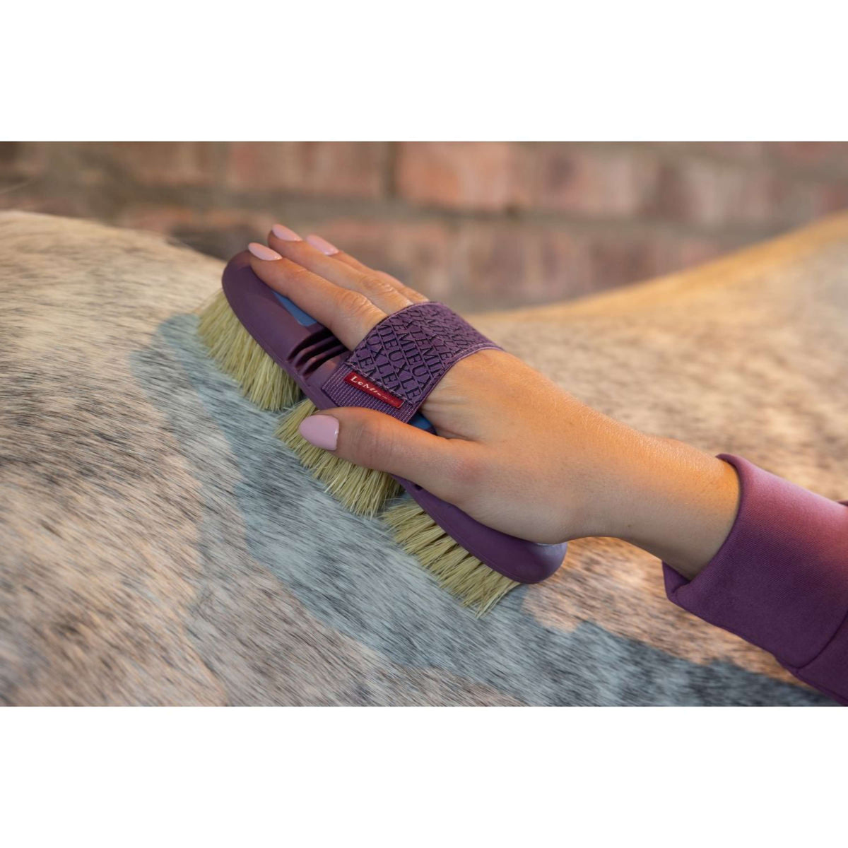 LeMieux Harde Borstel Flexi Scrubbing Powder Blue
