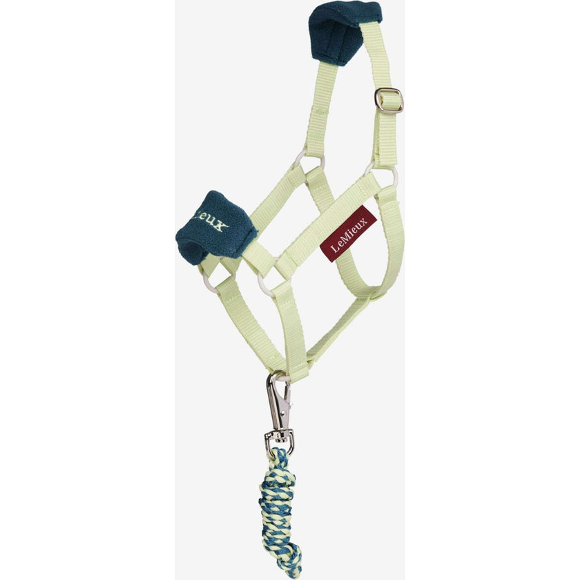 LeMieux Hobby Horse Vogue Halster Macaron LeMieux Hobby Horse Vogue Halster Macaron