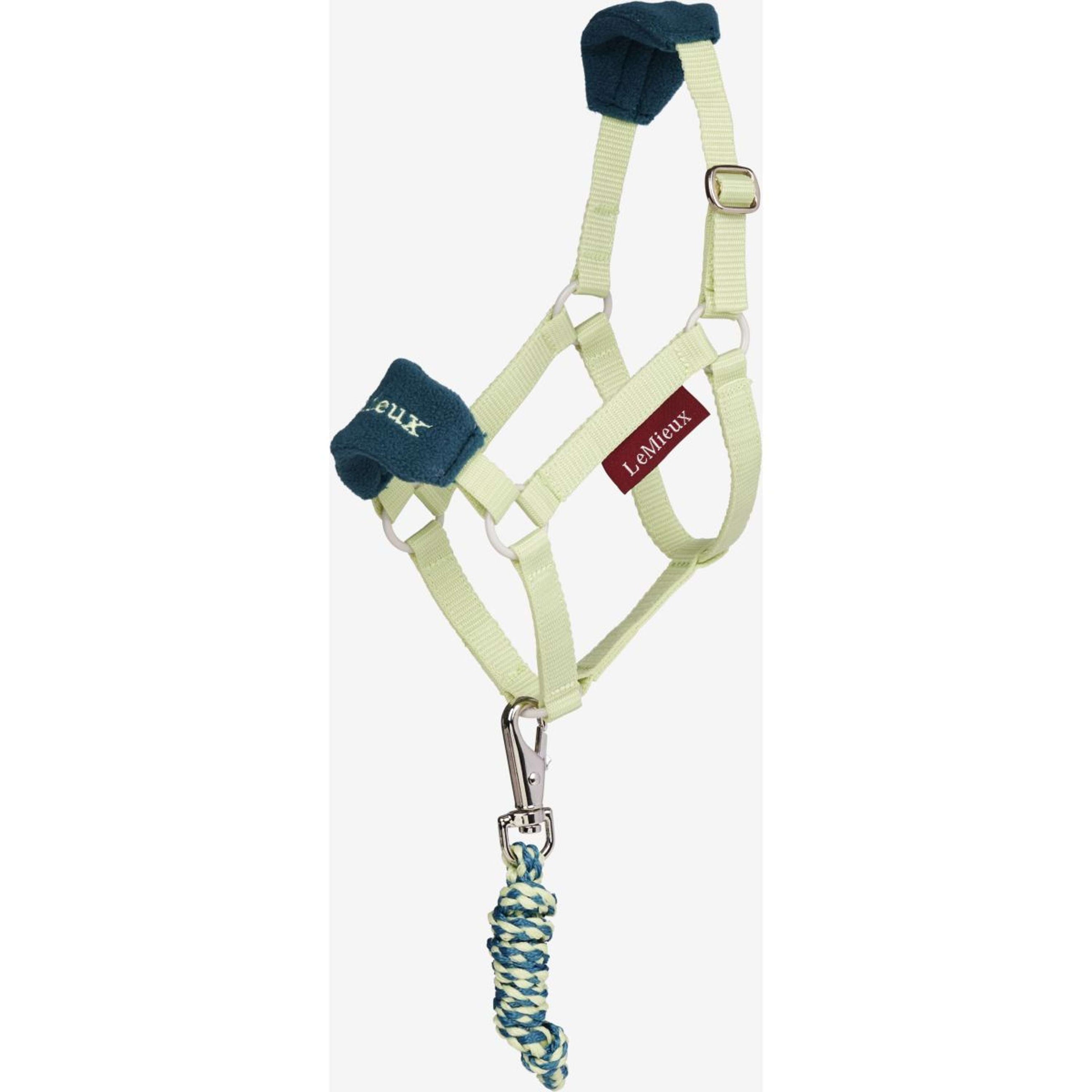 LeMieux Hobby Horse Vogue Halster Macaron