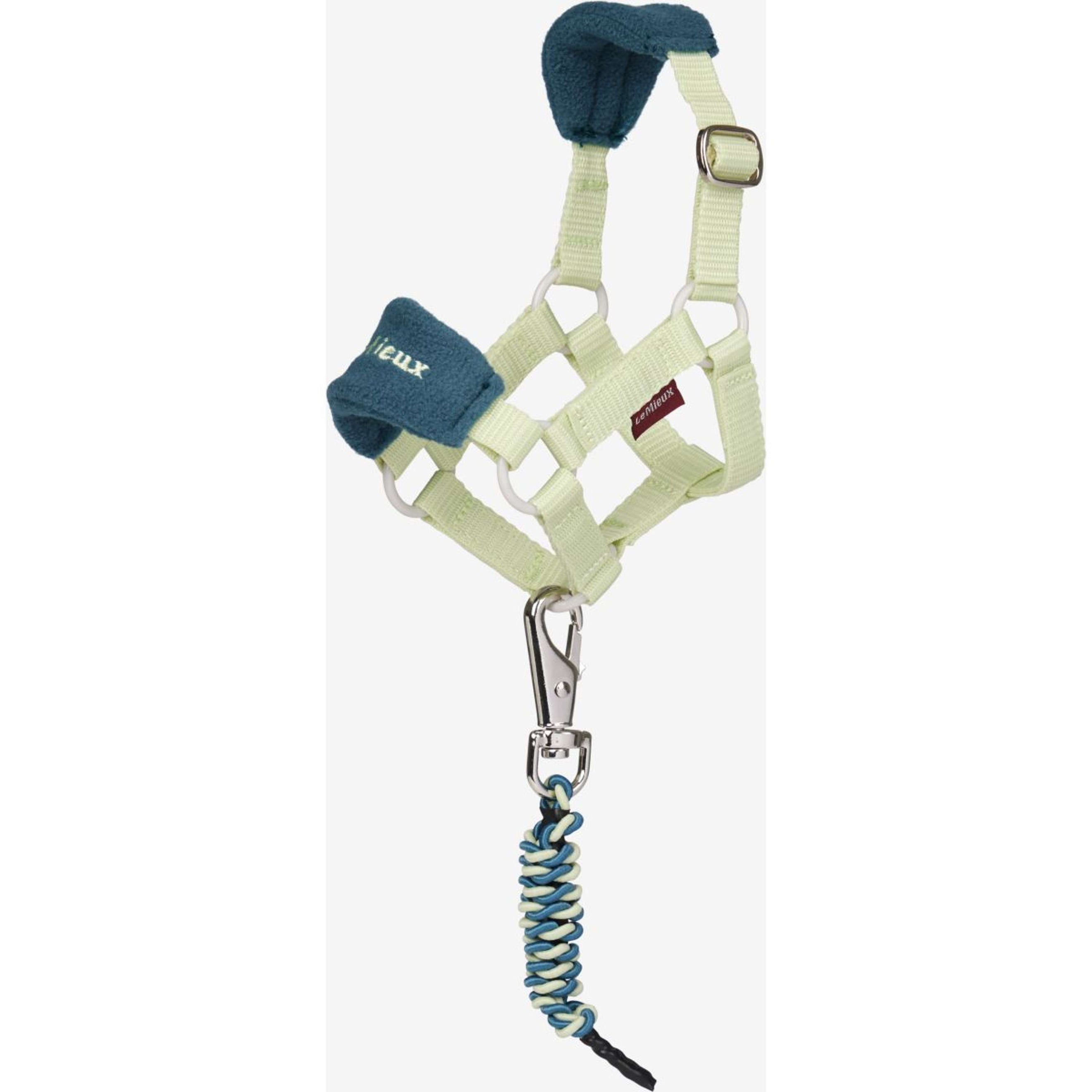 LeMieux Toy Pony Vogue Halsterset Macaron