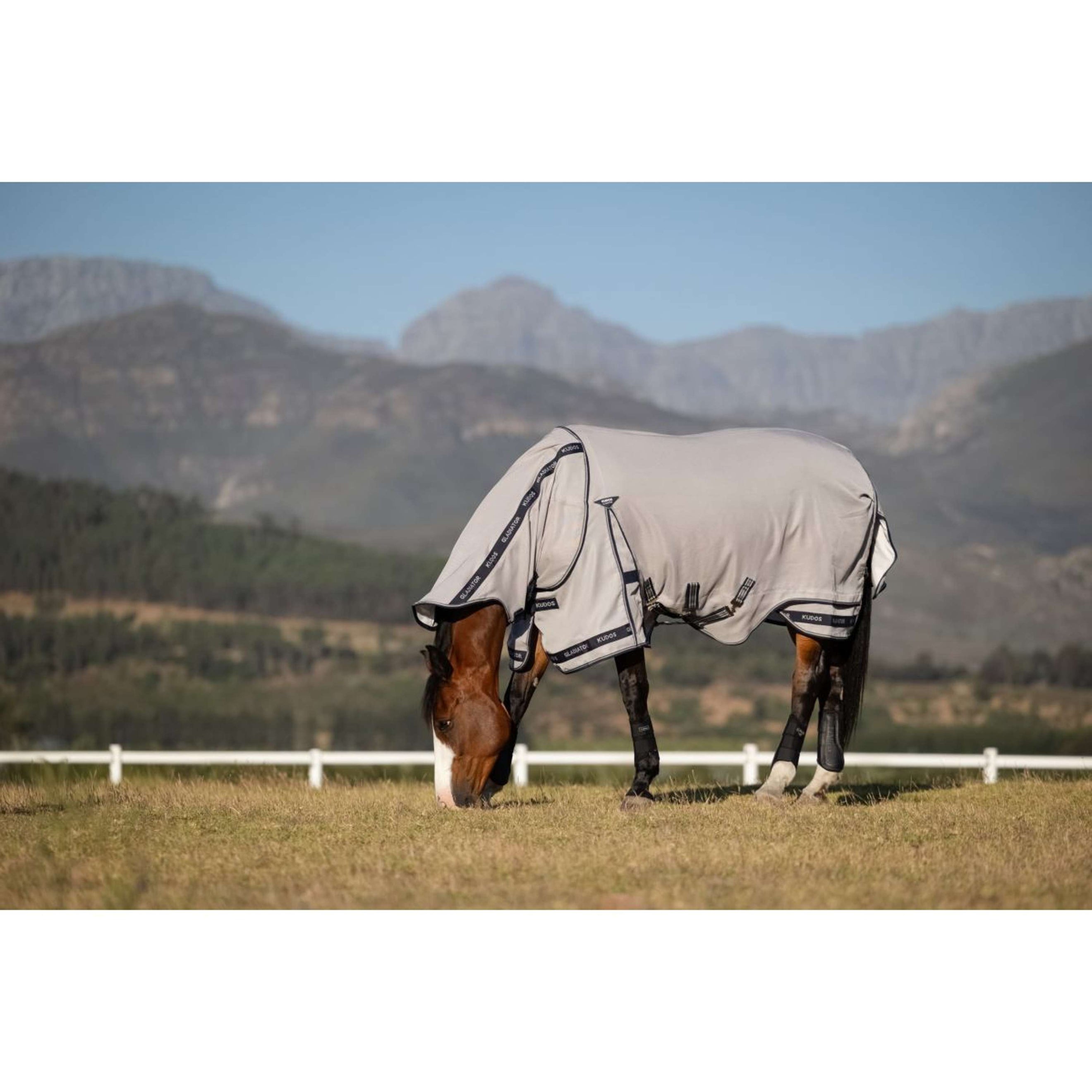 LeMieux Vliegendeken Kudos Gladiator Grijs LeMieux Vliegendeken Kudos Gladiator Grijs