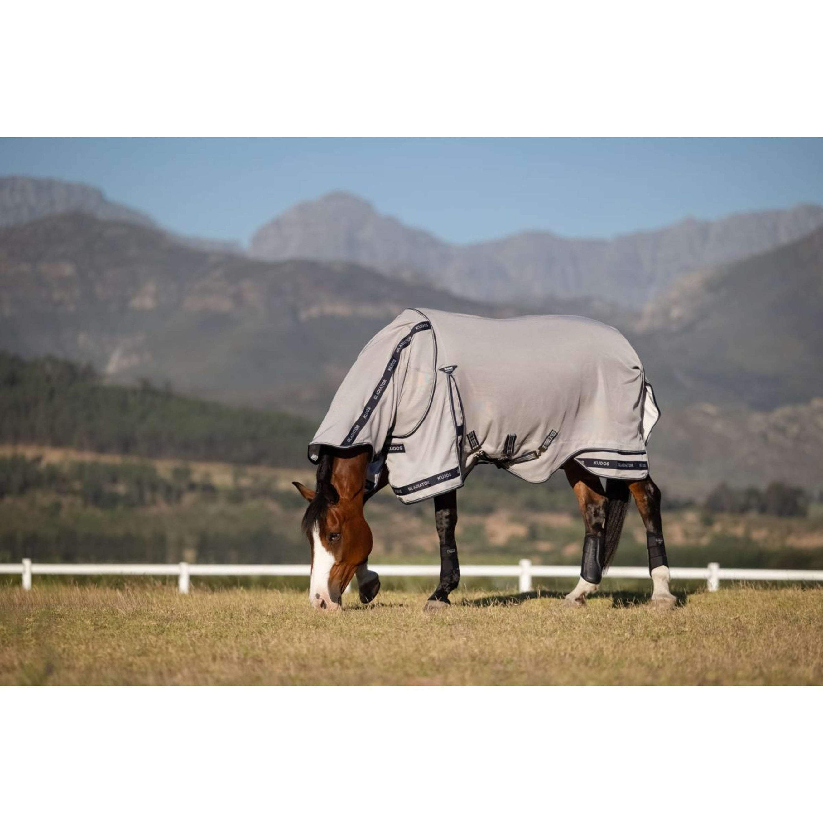LeMieux Vliegendeken Kudos Gladiator Grijs