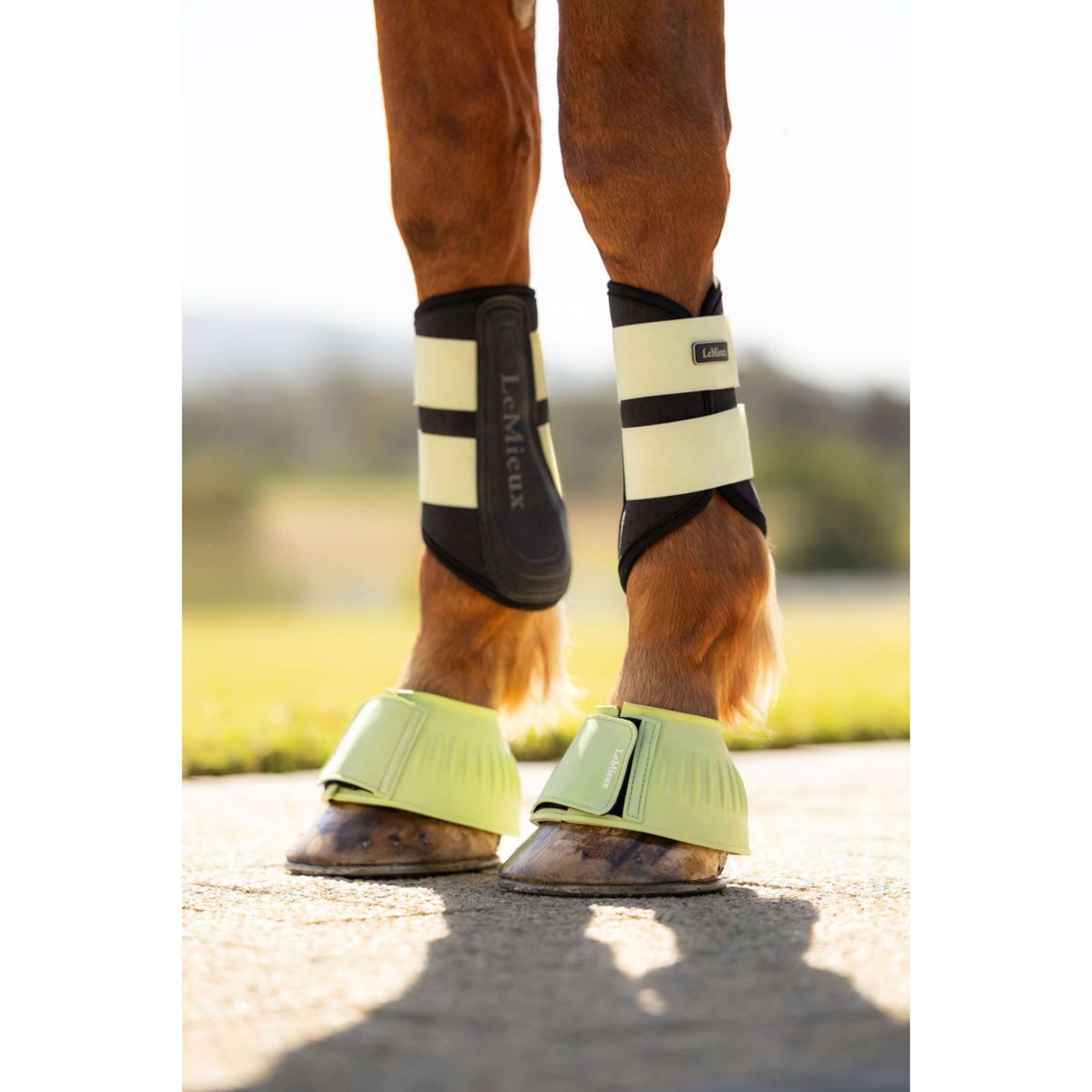 LeMieux Springschoenen Rubber Bell Macaron