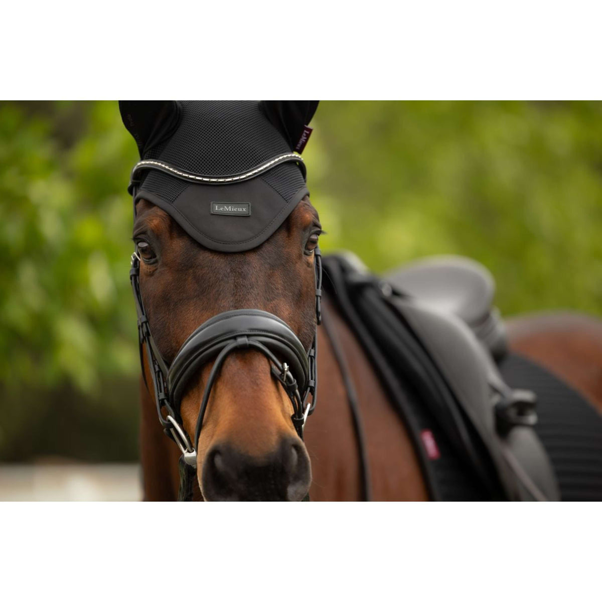 LeMieux Oornetje Air-Tek Mesh Zwart