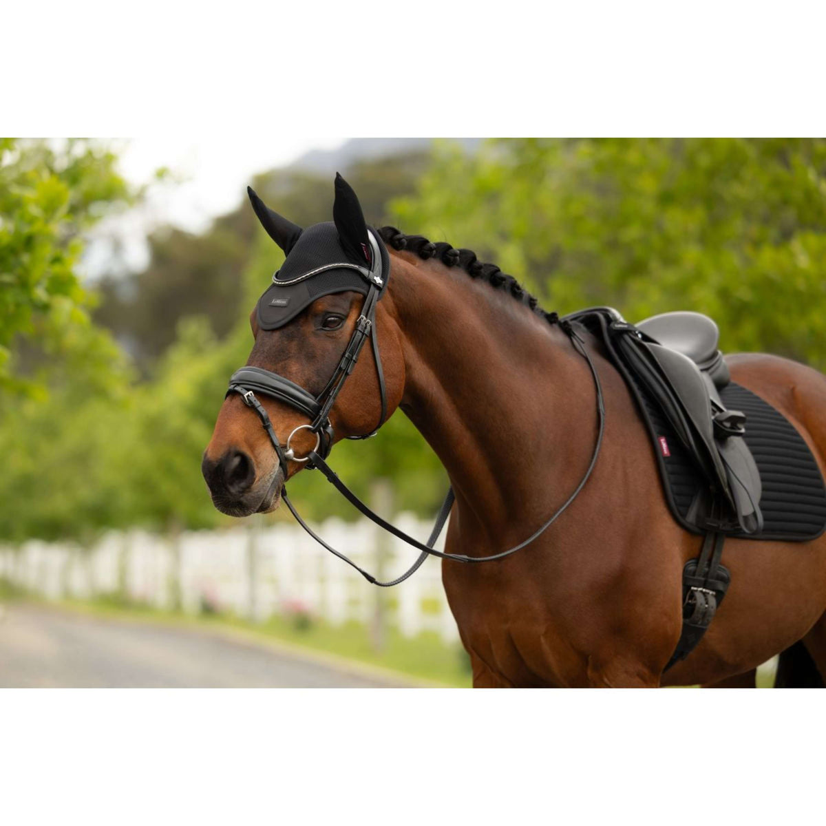 LeMieux Oornetje Air-Tek Mesh Zwart