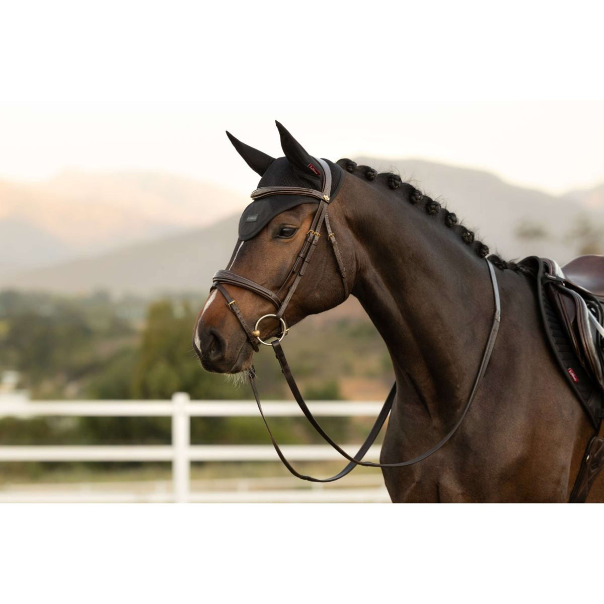 LeMieux Oornetje Air-Tek Mesh Zwart