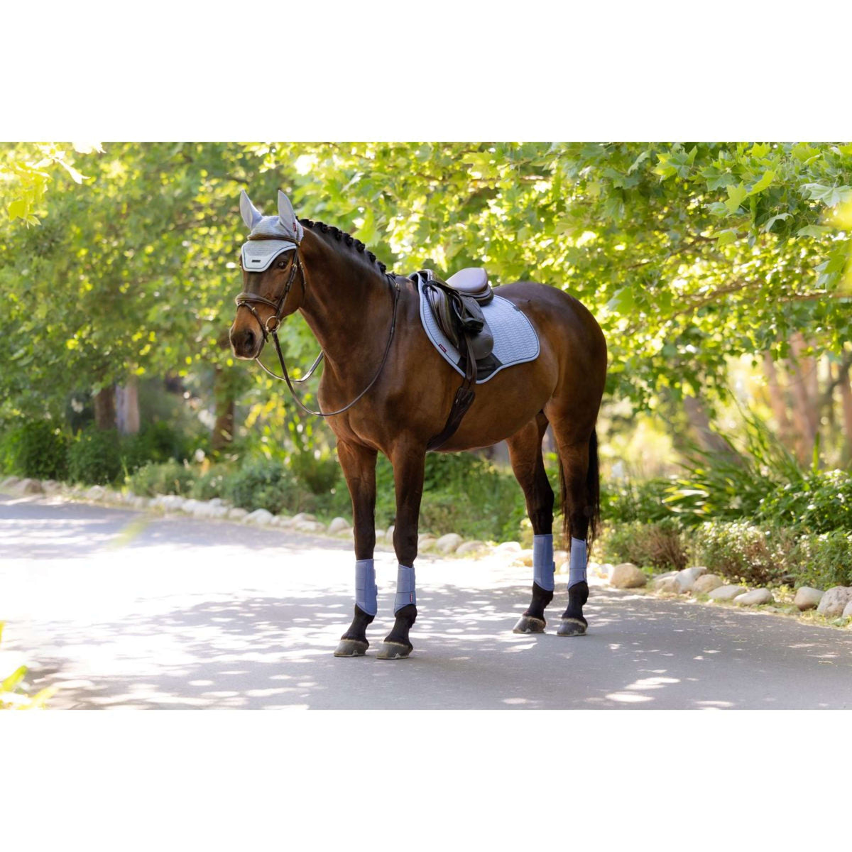 LeMieux Zadeldekje Essence Close Contact Square Springen Powder Blue