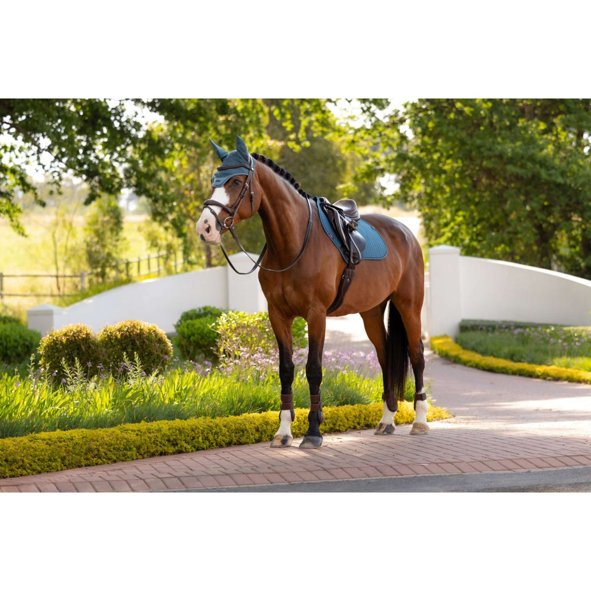 LeMieux Zadeldekje Essence Close Contact Square Springen Jungle