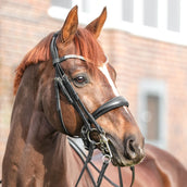 Kavalkade Stang en Trenshoofdstel Sonya Zwart