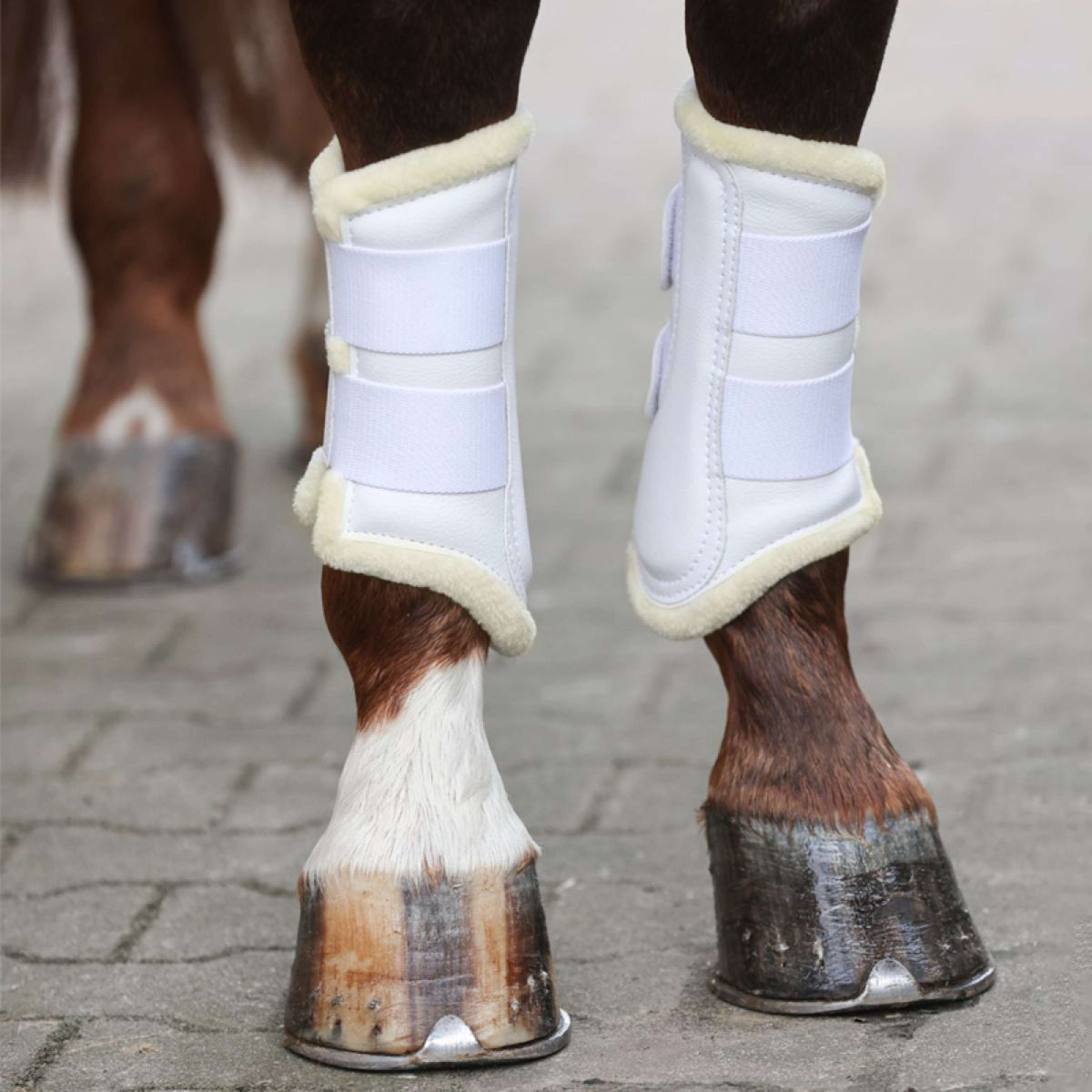 Kavalkade Dressage Boots met Imitatiebont Wit