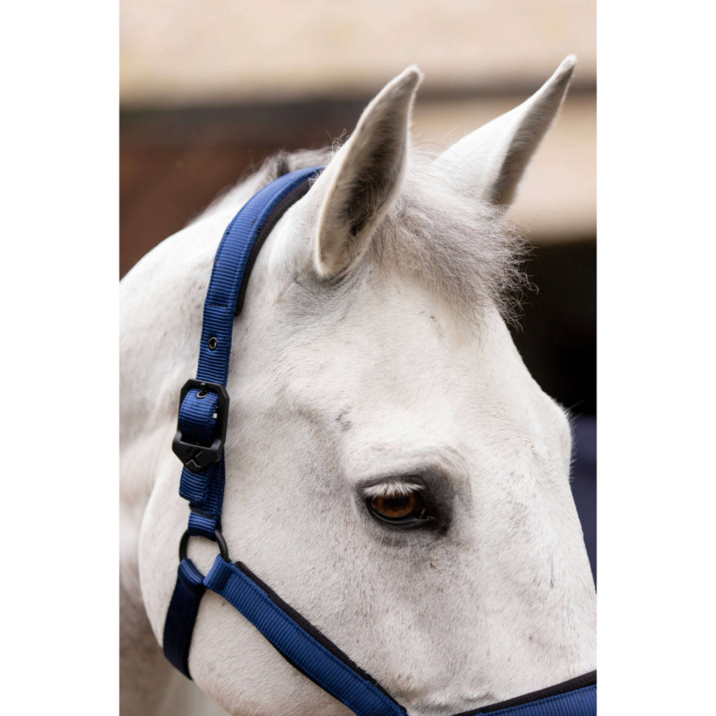 K by EQUITHÈME Halster Triton Koningsblauw