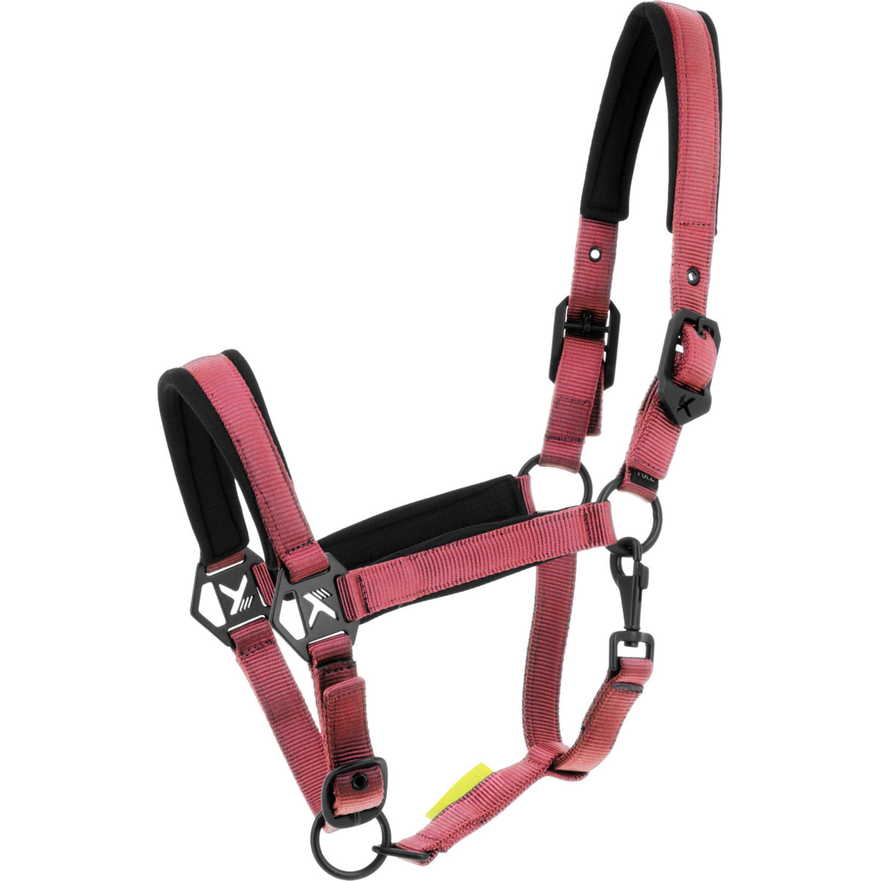 K by EQUITHÈME Halster Triton Roze