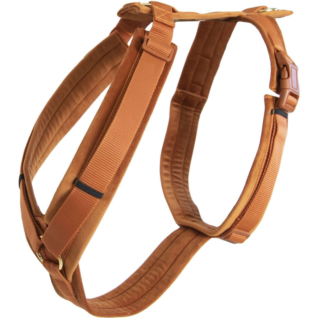 Kentucky Harnas Active Velvet Oranje