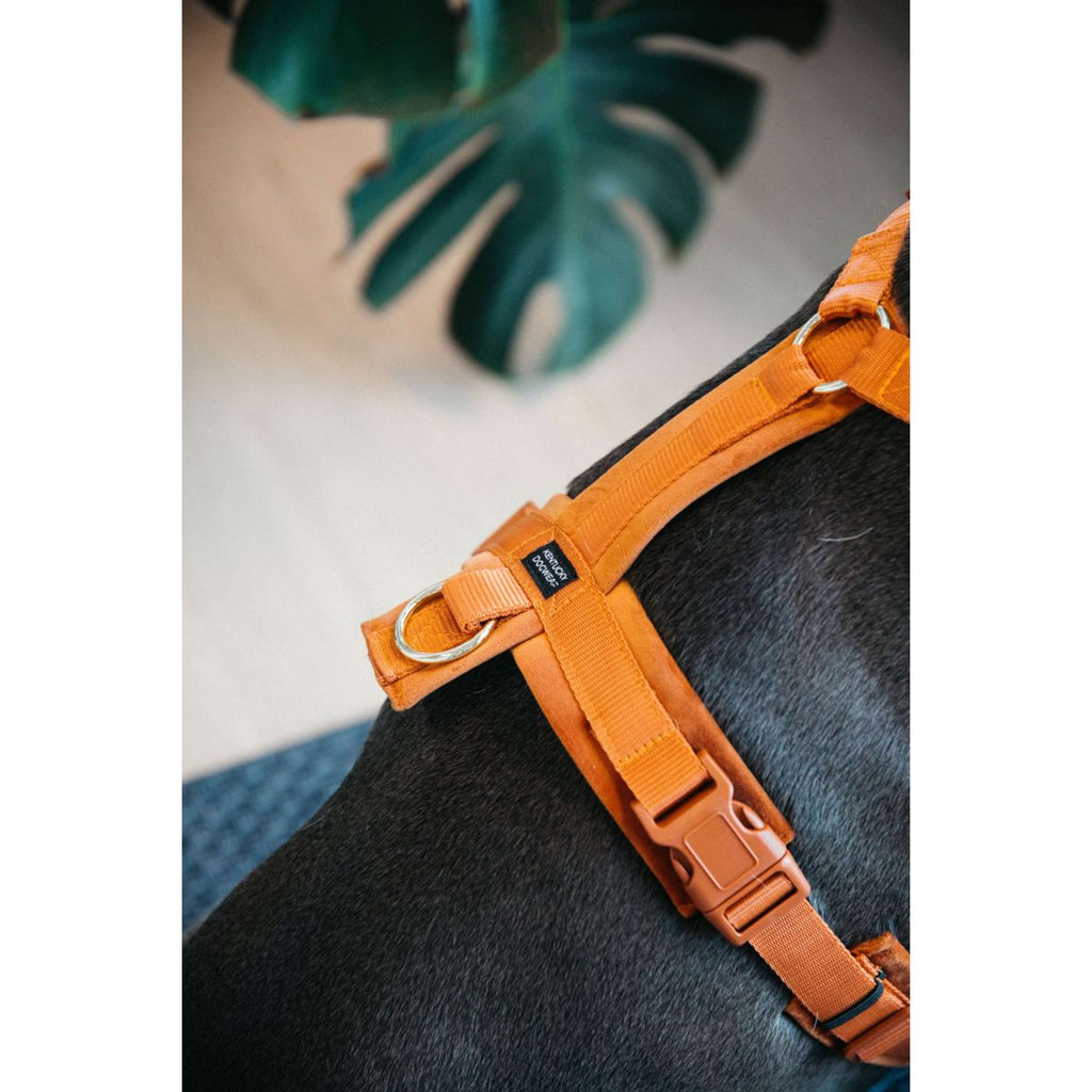 Kentucky Harnas Active Velvet Oranje