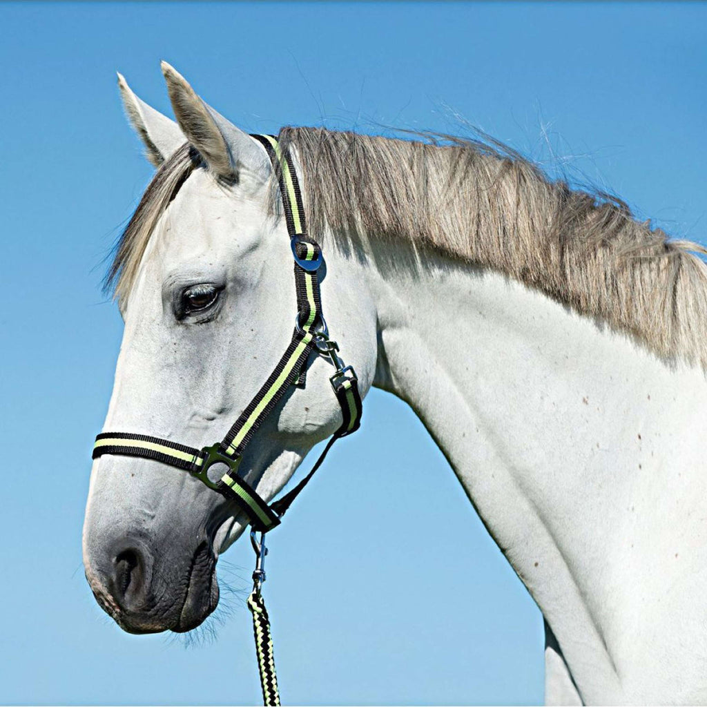 Covalliero Halster Hippo Antraciet/Lemon