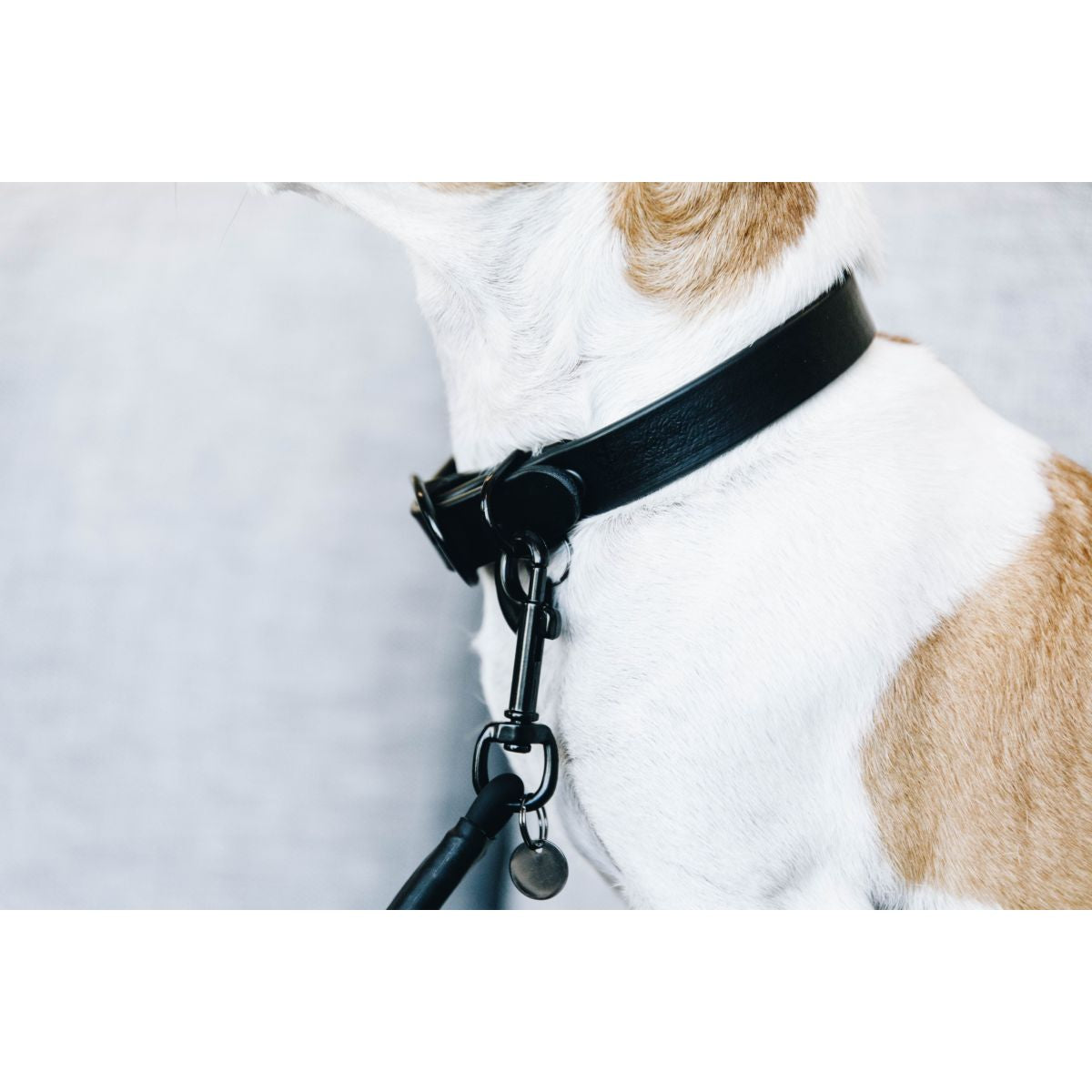 Kentucky Halsband Soft Rubber Zwart