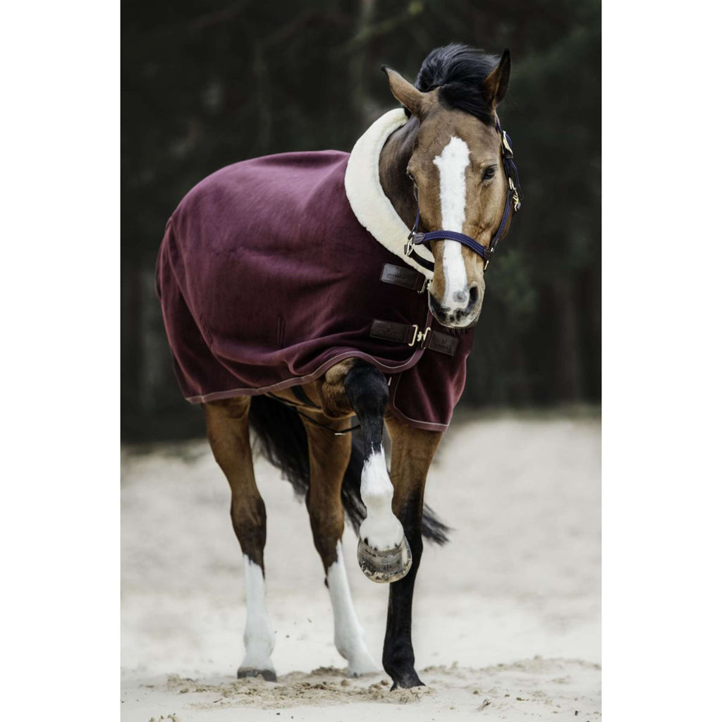Kentucky Zweetdeken Show Fleece Heavy Bordeaux