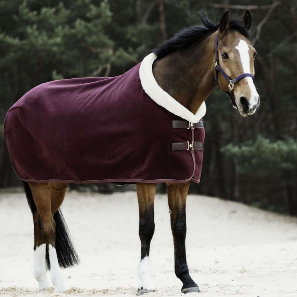 Kentucky Zweetdeken Show Fleece Heavy Bordeaux