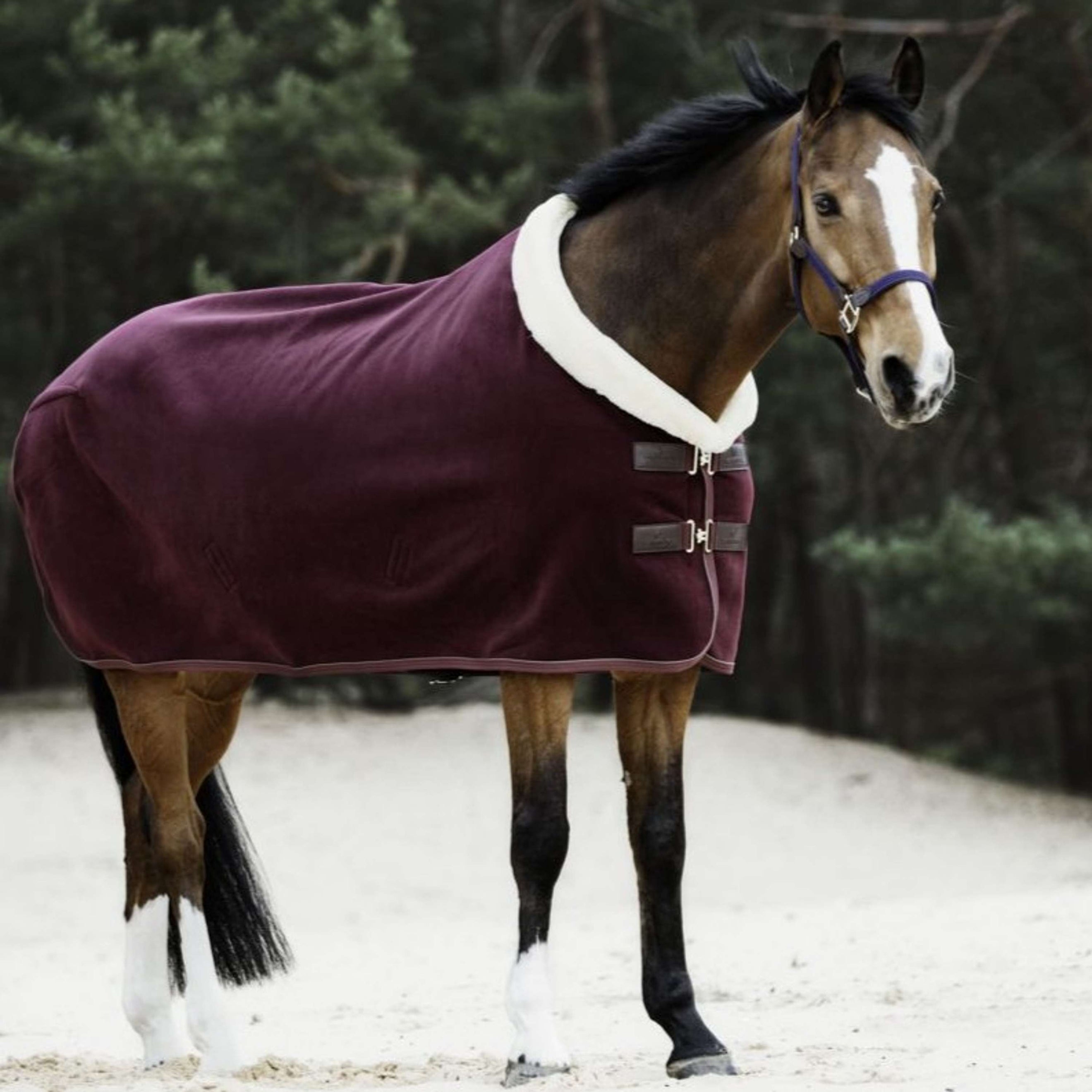 Kentucky Zweetdeken Show Fleece Heavy Bordeaux