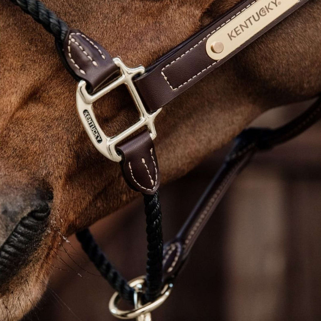 Kentucky Halster van Leer en Touw Zwart