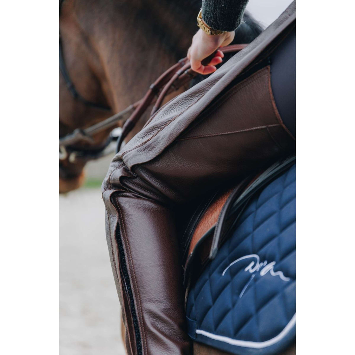 Dyon Lange Chaps Leer Standard Bruin