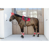 Kentucky Kogelbeschermers Young Horse Velvet Vegan Bont Rood