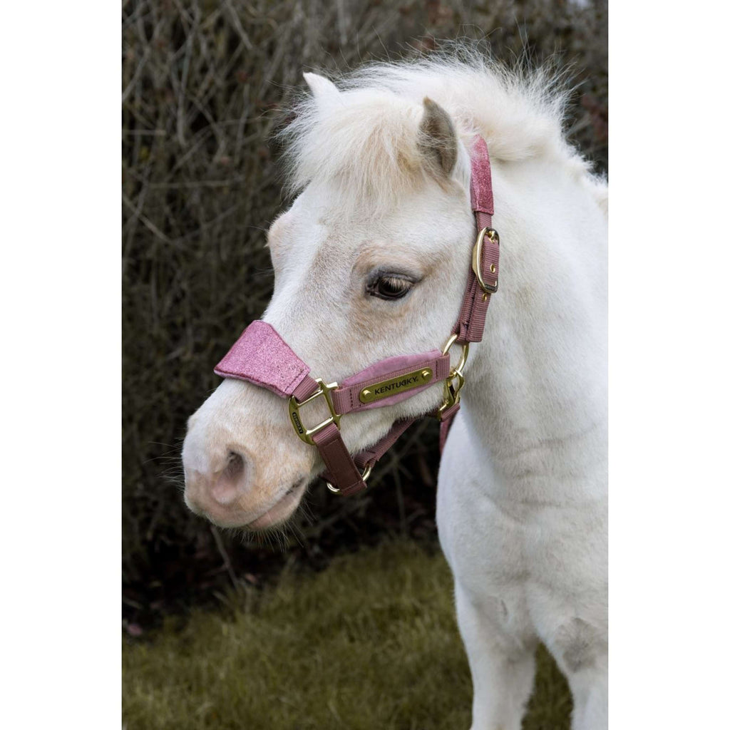 Kentucky Halster Velvet Glitter Unicorn Oud Roze