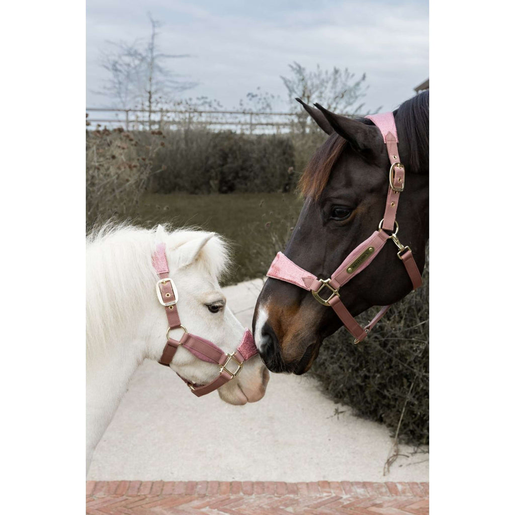 Kentucky Halster Velvet Glitter Unicorn Oud Roze