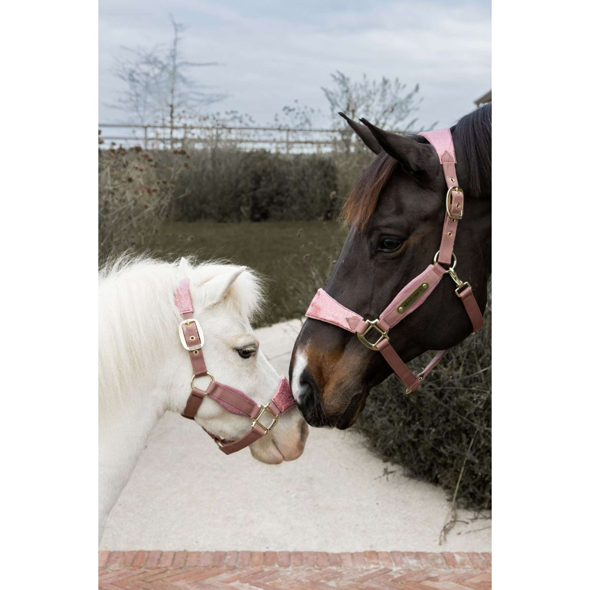 Kentucky Halster Velvet Glitter Unicorn Oud Roze