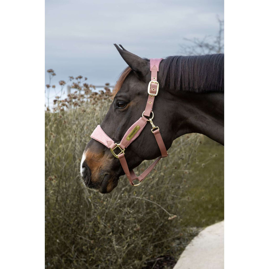 Kentucky Halster Velvet Glitter Unicorn Oud Roze