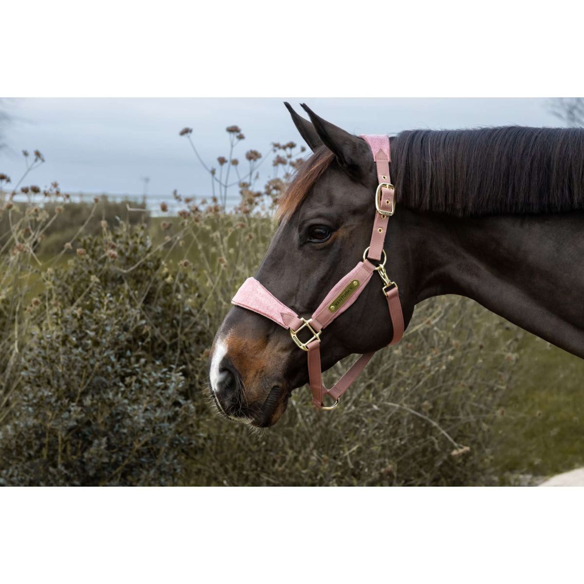 Kentucky Halster Velvet Glitter Unicorn Oud Roze