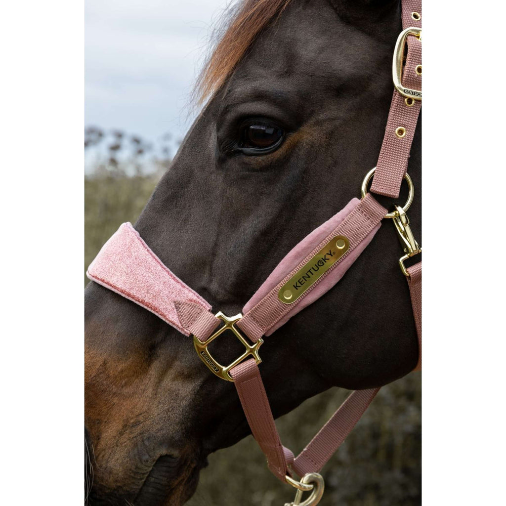 Kentucky Halster Velvet Glitter Unicorn Oud Roze
