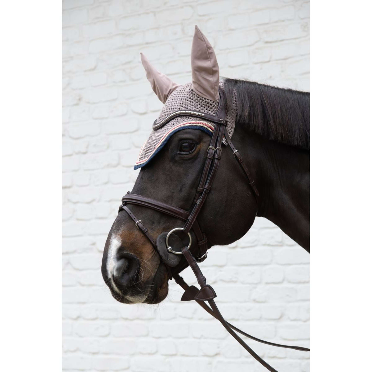 Kentucky Oornetje Wellington Pied-de-Poule Bordeaux/Navy