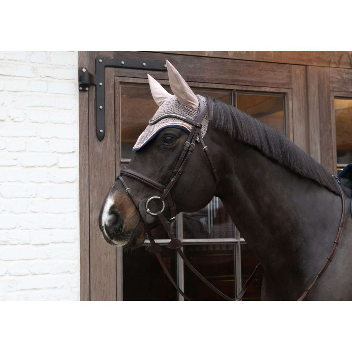 Kentucky Oornetje Wellington Pied-de-Poule Bordeaux/Navy