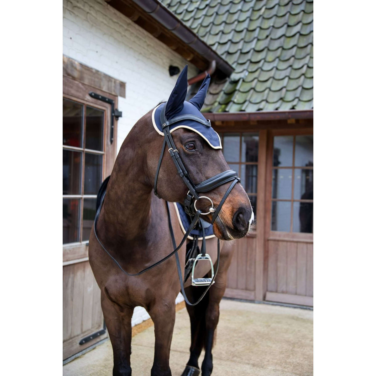 Kentucky Oornetje Wellington Softshell Navy/Beige