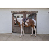 Kentucky Zadeldekje Softshell Onion Quilt Springen Beige/Oud Roze