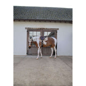 Kentucky Zadeldekje Softshell Onion Quilt Springen Beige/Oud Roze