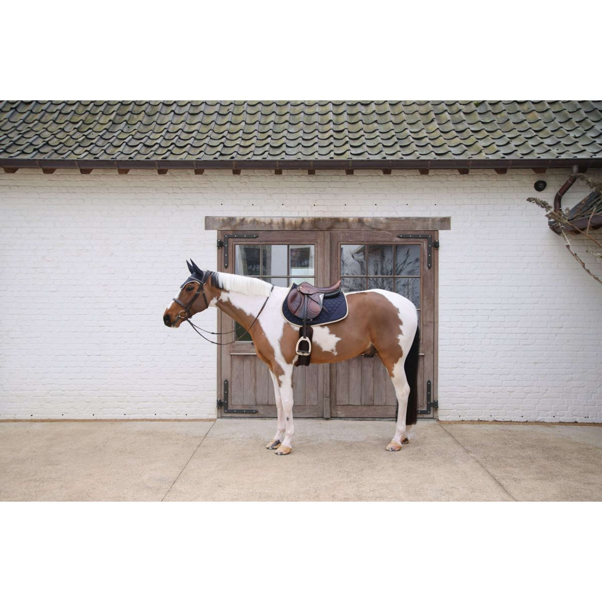 Kentucky Zadeldekje Softshell Onion Quilt Springen Navy/Beige