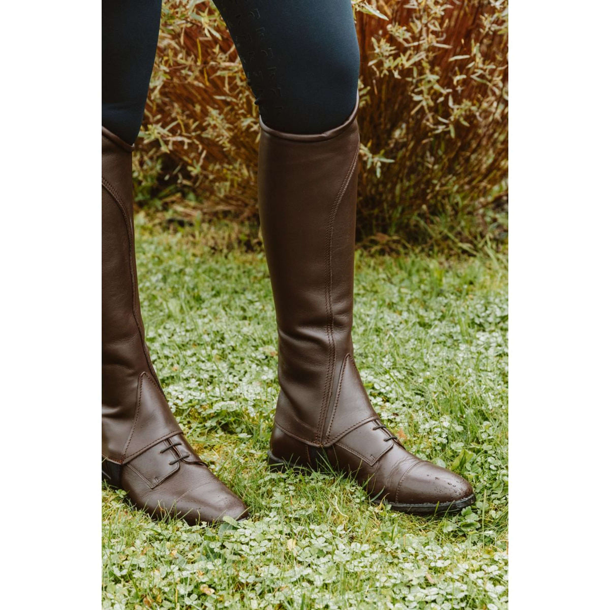 Dyon Jodhpurs Front laces Bruin