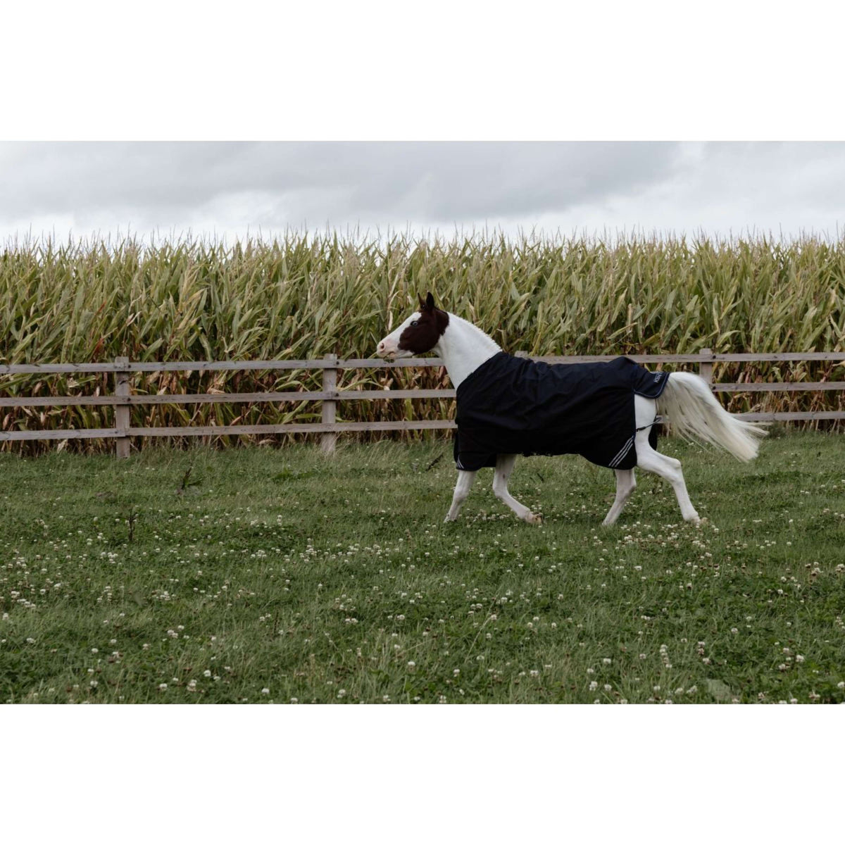 Kentucky Turnout Rug All Weather Comfort Waterproof 100g Zwart