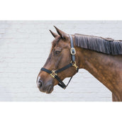 Kentucky Halster Nylon Breakaway Zwart