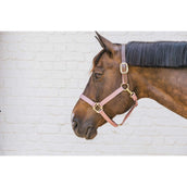 Kentucky Halster Nylon Breakaway Oud Roze