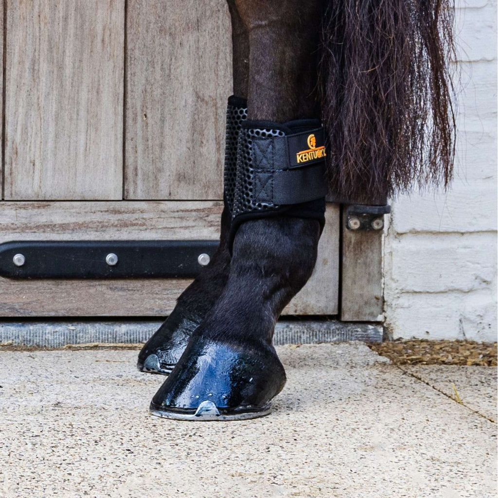 Kentucky Turnout Boots ProAIR Short