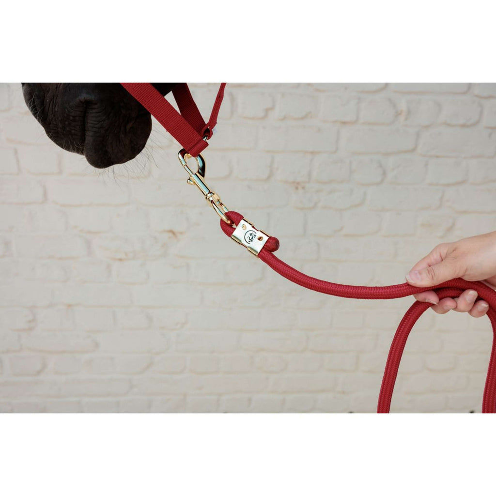 Kentucky Halster Velvet Rood