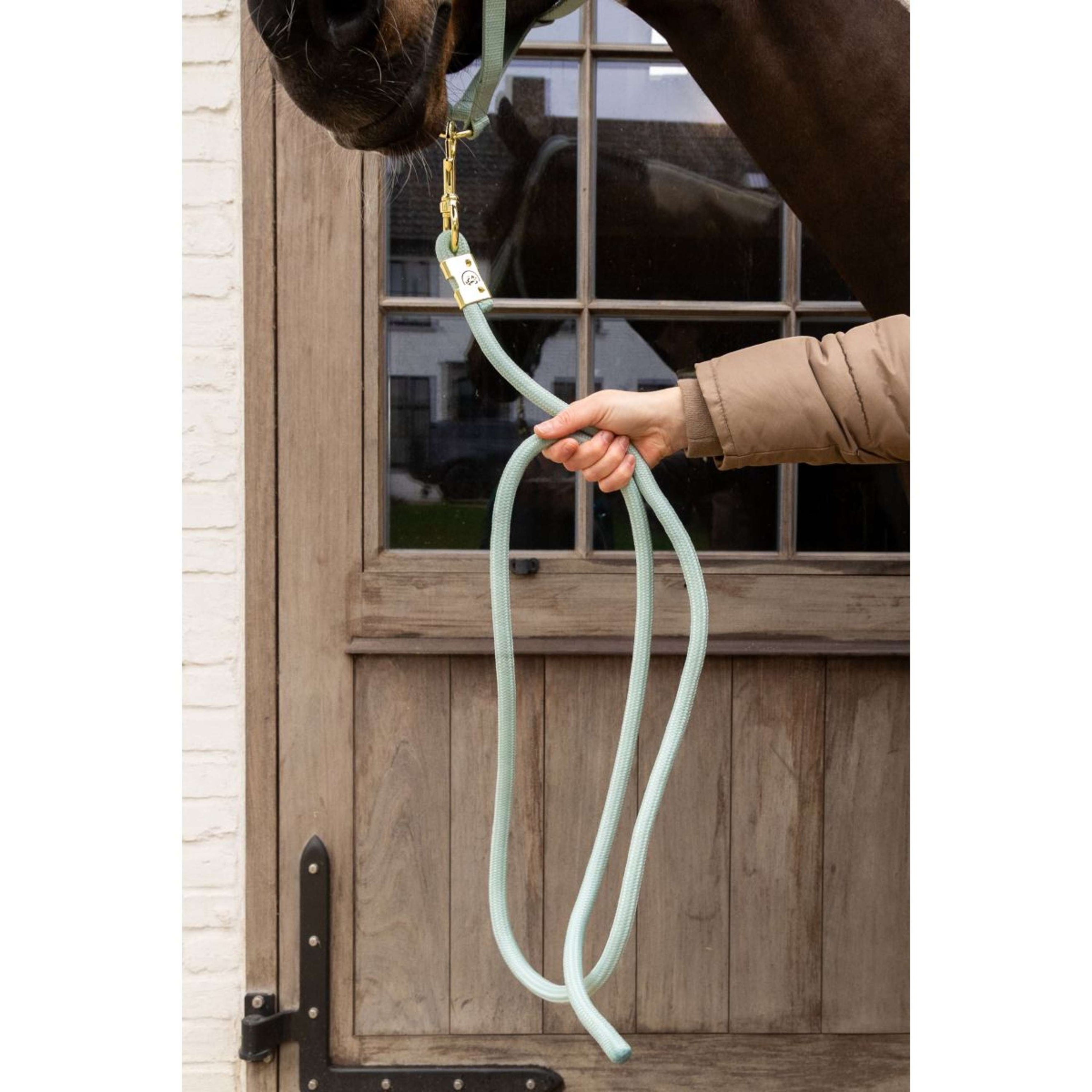 Kentucky Halstertouw Basic Mint Kentucky Halstertouw Basic Mint